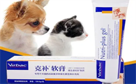 猫咪营养膏怎么买