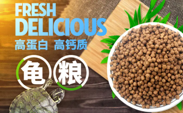 观赏龟龟粮是什么 观赏龟龟粮是什么