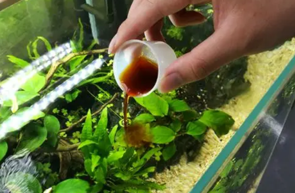 观赏鱼硝化菌的作用