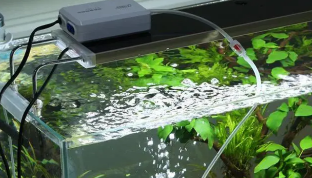 鱼缸增氧泵一天用多少电