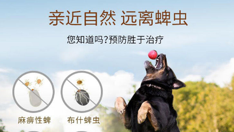 宠物驱虫蜱虫用什么药