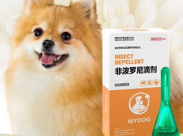 狗狗体外驱虫药怎么滴