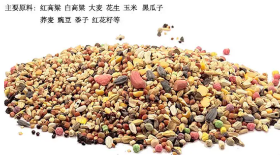 仓鼠粮怎么自配