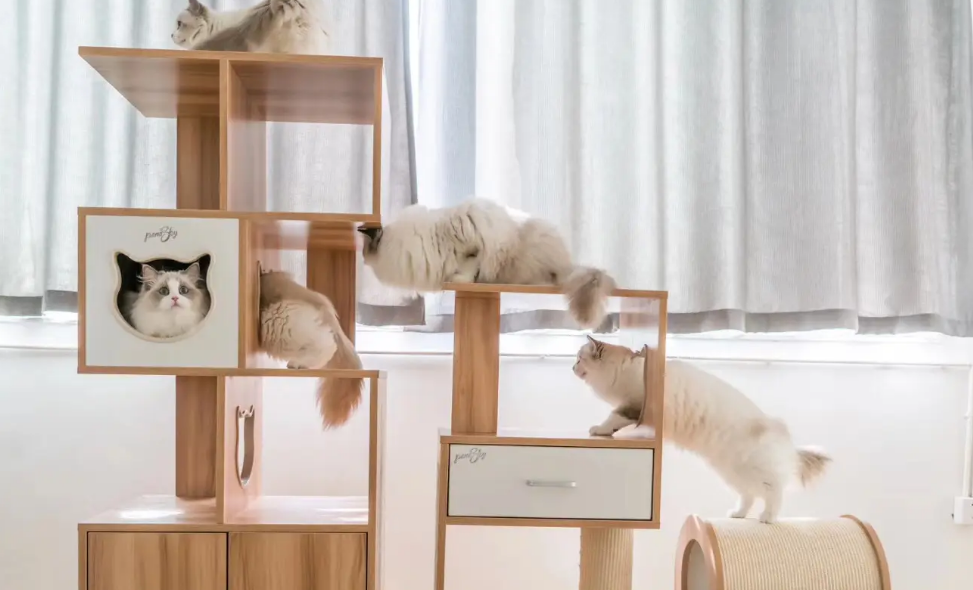 哪种品牌猫爬架好 哪种品牌猫爬架好