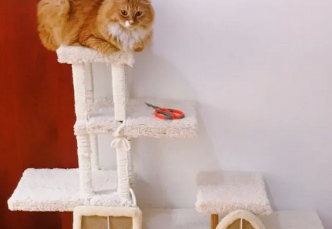 猫爬架绳子怎么缠 猫爬架绳子怎么缠