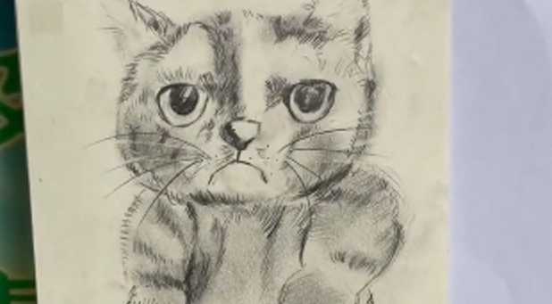 保安捡到猫咪后作画一张，网友：不能说很像，简直一模一样
