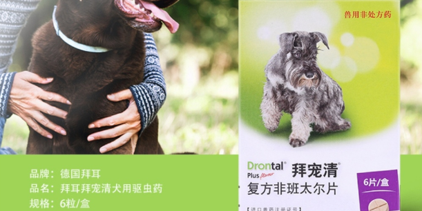 今日科普：拜宠清驱虫药多久吃一次？
