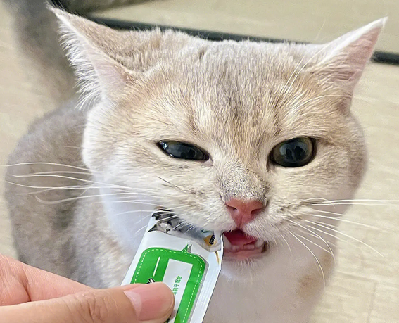 猫为什么喜欢猫条