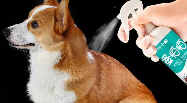 狗狗出生多久可以体外驱虫