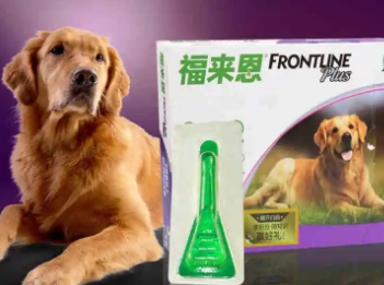 狗狗如何体内体外驱虫