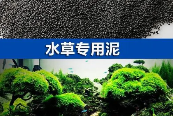 鱼缸翻缸水草泥还能用吗