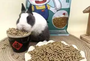 兔子有必要吃兔粮吗 兔子有必要吃兔粮吗