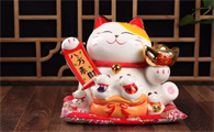 猫到底是招财还是来灾