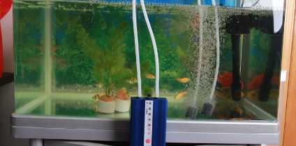 氧泵放鱼缸什么位置