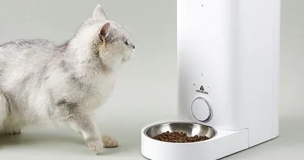 按食出动是什么品牌