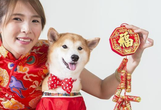 萌娃给狗子磕头拜年,还把刚收的大红包双手奉上,妈妈看到都哭了 萌娃给狗子磕头拜年,还把刚收的大红包双手奉上,妈妈看到都哭了