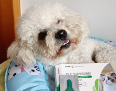 狗狗可以体内体外驱虫一起么
