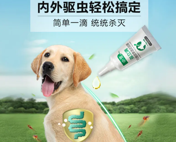 狗发情了可以体外驱虫吗