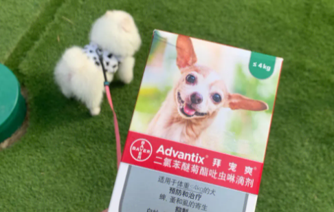 宠物体外驱虫药多少钱