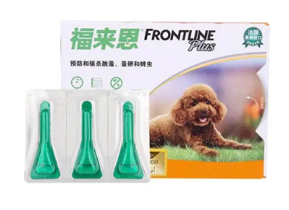 狗狗夏天多长时间体外驱虫