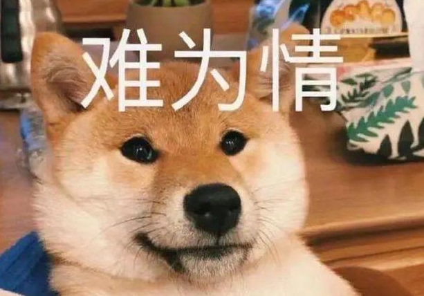 泪目!乖巧狗狗遭弃养,一张纸条吐露真心 泪目!乖巧狗狗遭弃养,一张纸条吐露真心