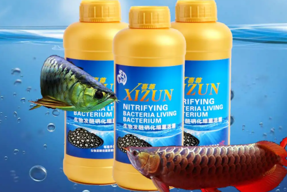 养鱼硝化活菌有什么作用