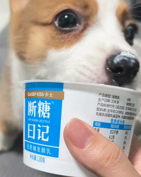 猫猫狗狗能喝酸奶吗
