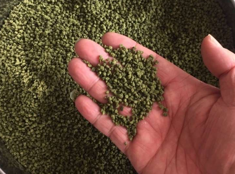 如何自制鱼粮