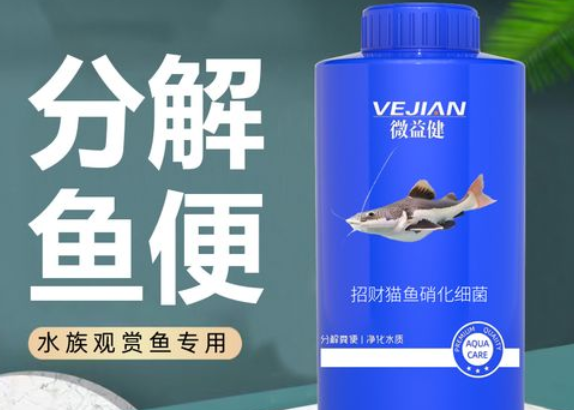 没有硝化菌可以用什么代替
