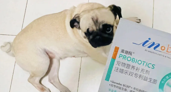 宠物益生菌 哪里买