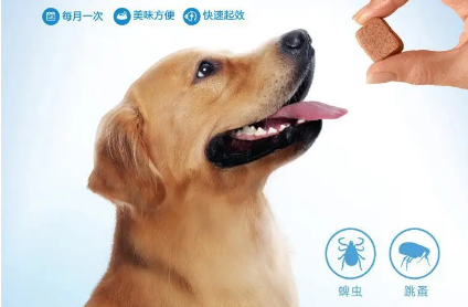 狗狗体外驱虫有口服的吗 狗狗体外驱虫有口服的吗