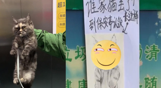 保安捡到猫咪后作画一张，网友：不能说很像，简直一模一样