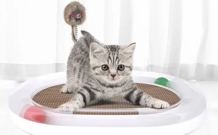 猫抓柱和猫抓板哪个好