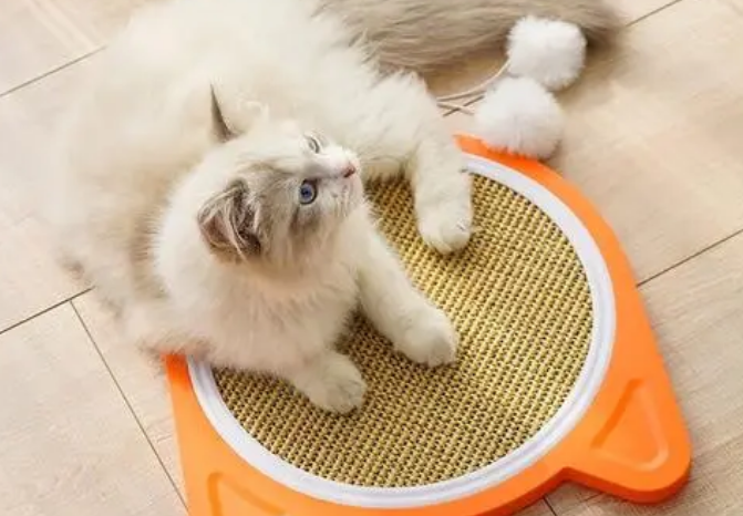 什么可以代替猫抓板 什么可以代替猫抓板