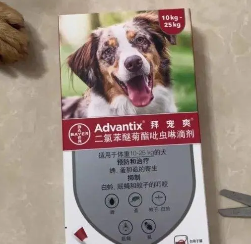 狗狗体外驱虫喷雾哪种好