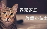 家里有宠物能用84消毒液吗