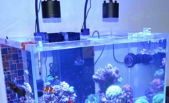 鱼缸增氧泵怎么选
