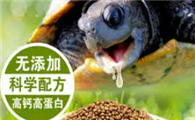 龟粮和鱼粮的区别