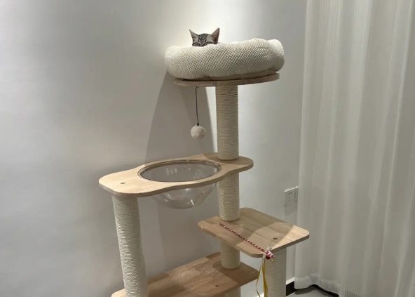 猫爬架多少钱 猫爬架多少钱
