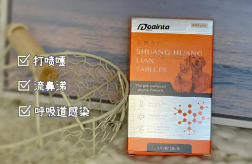 狗狗感冒吃什么药呢