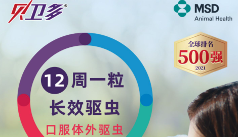 如何给宠物体外驱虫