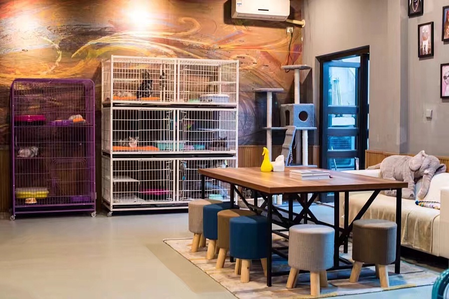 新手怎么开宠物店 新手怎么开宠物店