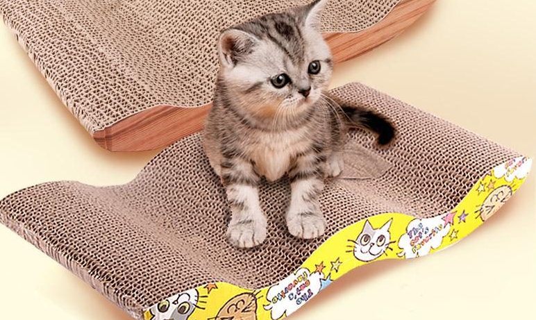 猫抓板真的有用吗 猫抓板真的有用吗
