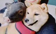 博主怎么赚钱