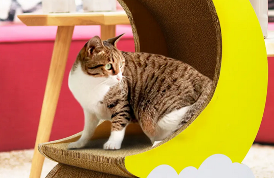 用什么替代猫抓板 用什么替代猫抓板