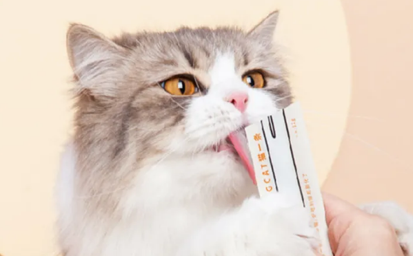 猫咪猫条一天吃多少
