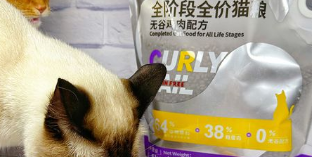 测评性价比超高的卷尾巴猫粮 测评性价比超高的卷尾巴猫粮