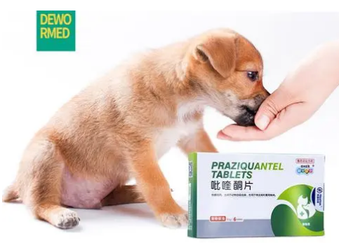 狗体外驱虫用多了怎么办