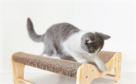 猫咪抓猫抓板是为什么