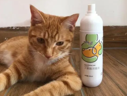 猫笼消毒用什么消毒液